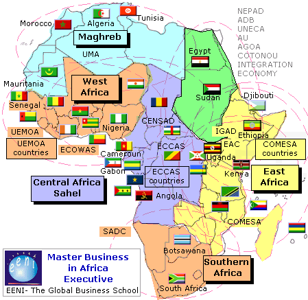 Cursuri Masterat: Afaceri în Africa